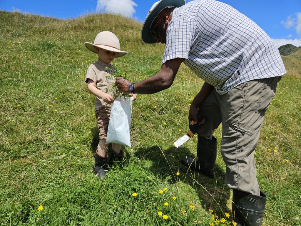 Dr. Gordon Rajendram teaching a young child how to identify pasture plants during a field soil health survey in New Zealand