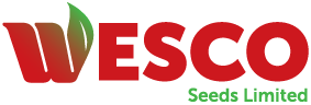 Wesco Seeds Limited logo – suppliers of high-quality seeds for New Zealand agriculture
