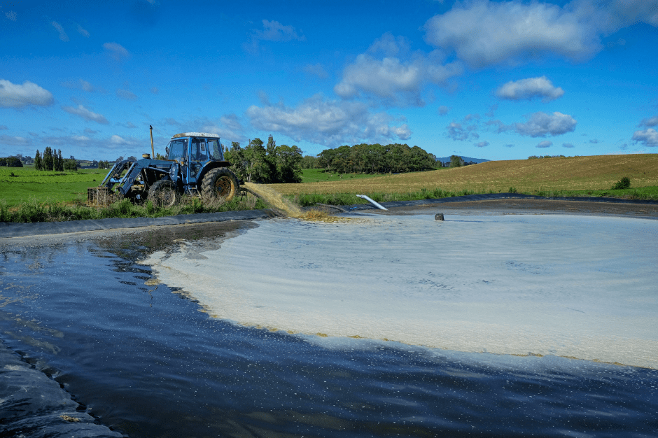 Effluent pond on a New Zealand dairy farm with tractor in background, demonstrating best practices in farm waste management.